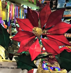 Flower Poinsettia Sml Indiv W/cone  9-12in